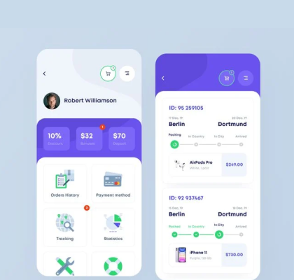 webique website project